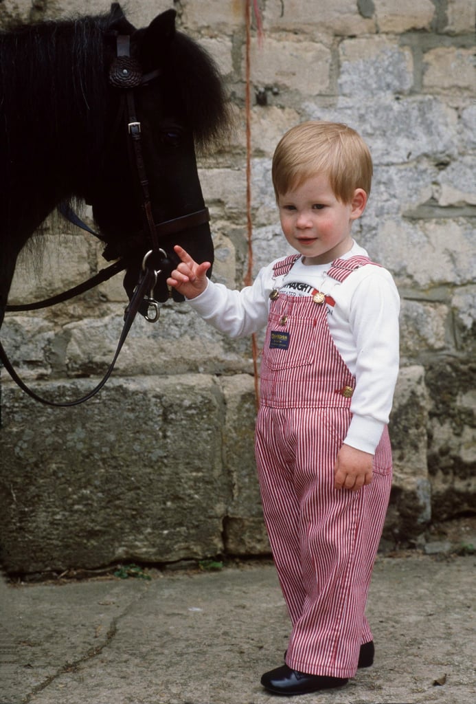 A young Prince Harry posed with with his pony, Smokey, in 1986.