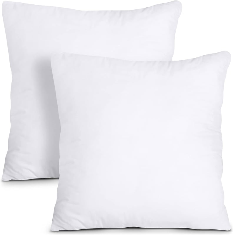 Best Throw Pillows Inserts