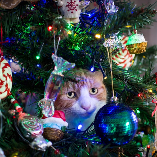 Asda Is Selling a Pet-Safe Half Christmas Tree