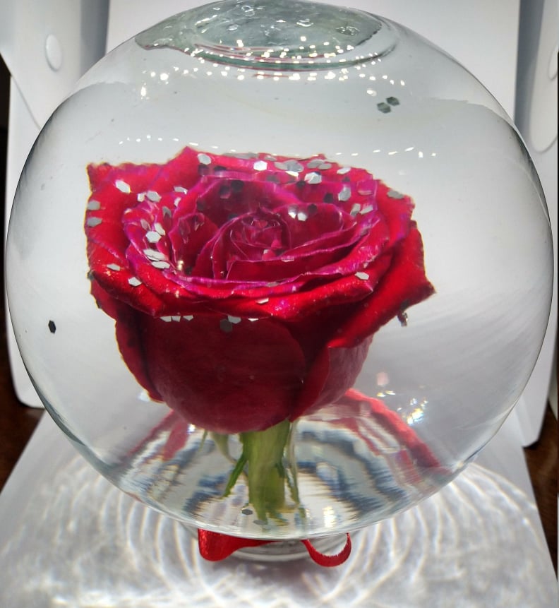 Infinity Rose Glass Globe