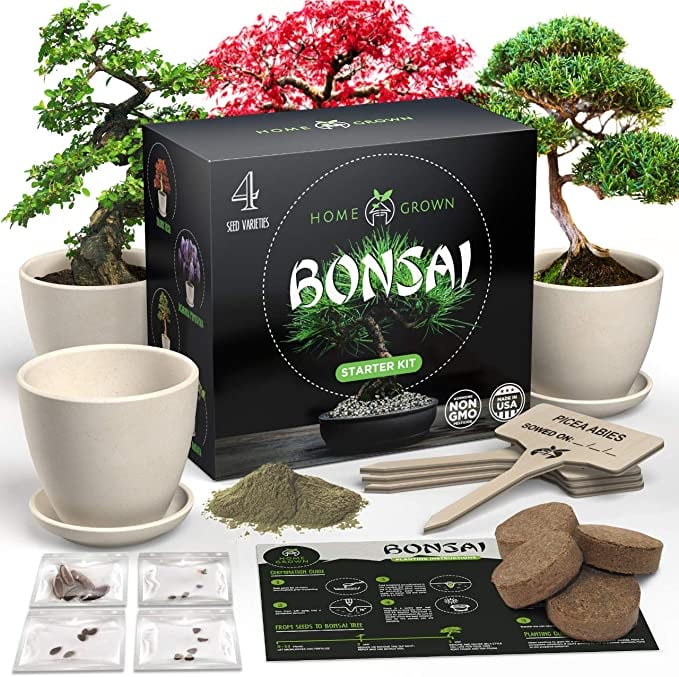 Bonsai Tree Kit | Gifts For People With Anxiety | POPSUGAR ...