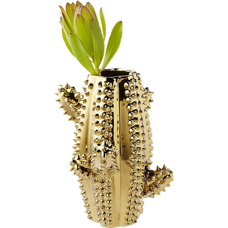 Cactus vase ($13)