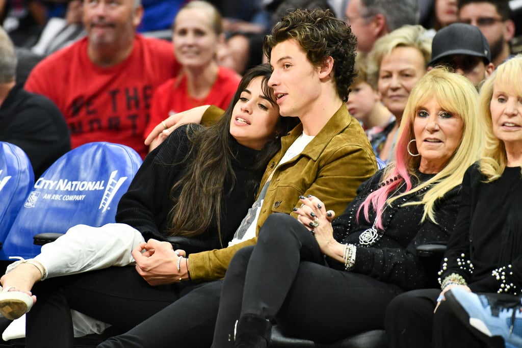 Camila Cabello and Shawn Mendes Kissing at LA Clippers Game