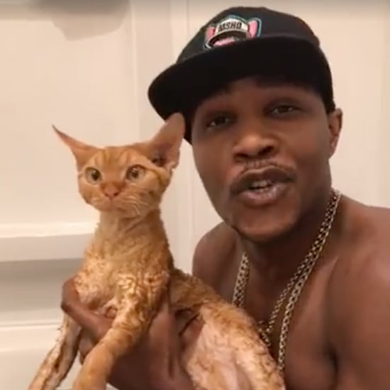 Hot Cat Dad Rapping in the Bathtub