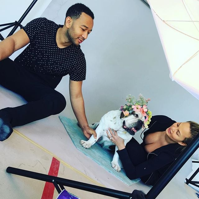 Chrissy Teigen S Dogs In Photo Shoot For Nursery Popsugar Pets