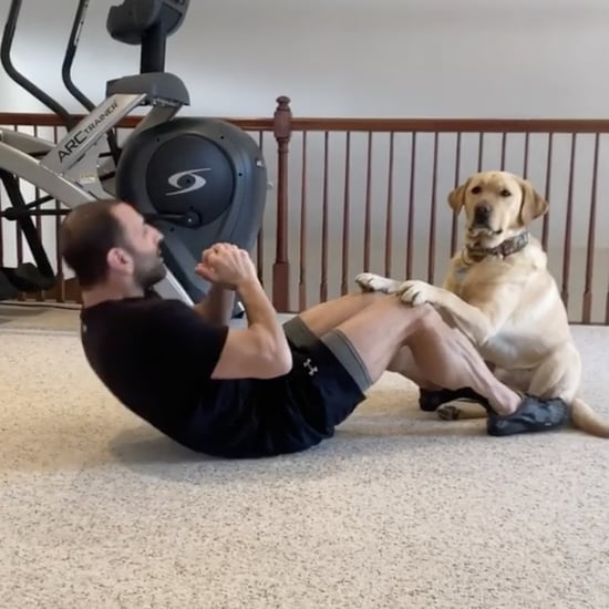 Magnus the Therapy Dog Works Out With His Owner