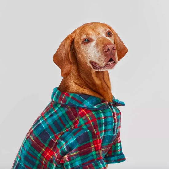 Best Target Dog Pajamas