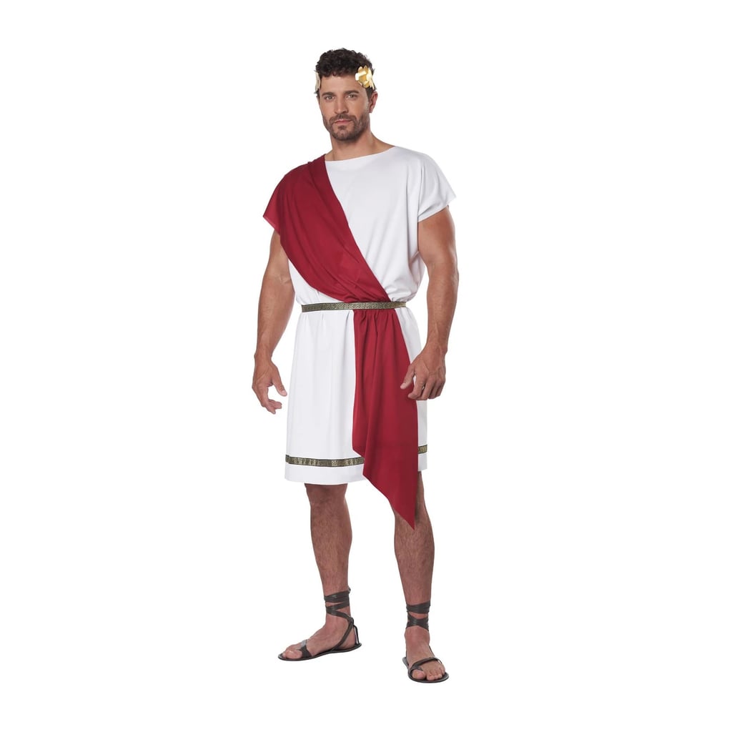 California Costumes Party Toga Adult Costume