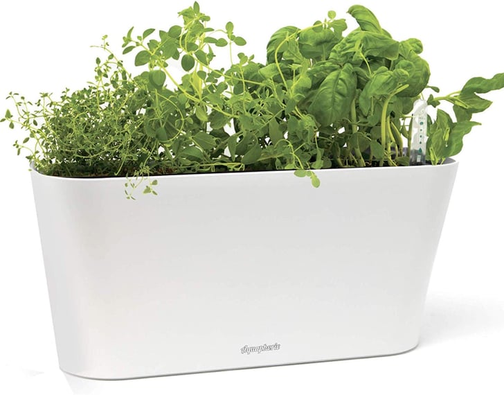 SelfWatering Herb Garden Tub Best Herb Planters POPSUGAR Home Photo 8