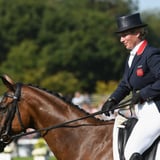 Hold Your Horses: There's Another