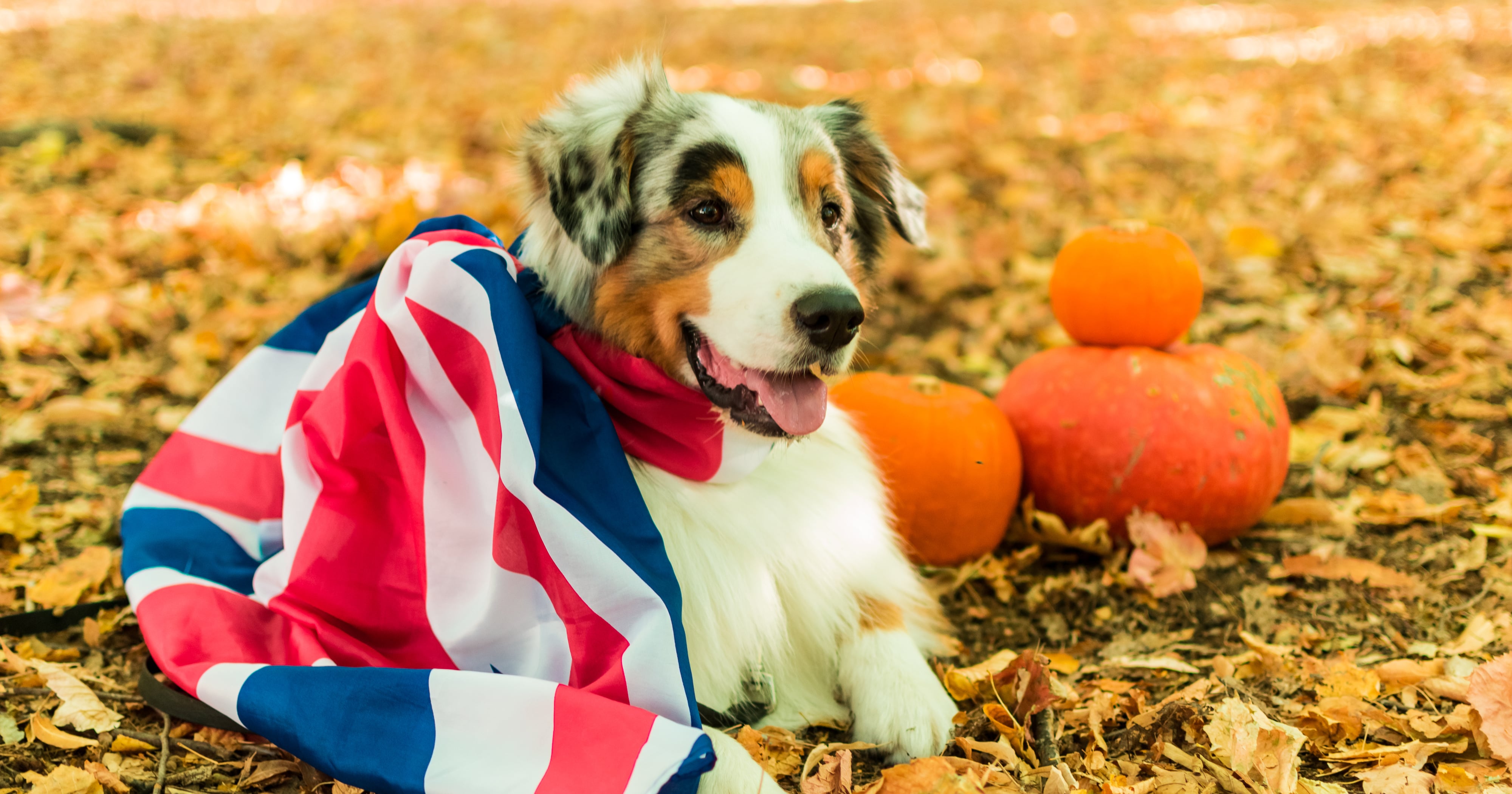 British Halloween Costumes That Will Make You Scream (With Laughter)