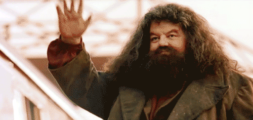 Harry Potter and the Sorcerer's Stone