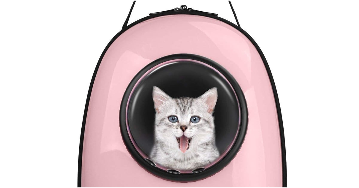Anzone pet portable best sale carrier space capsule backpack
