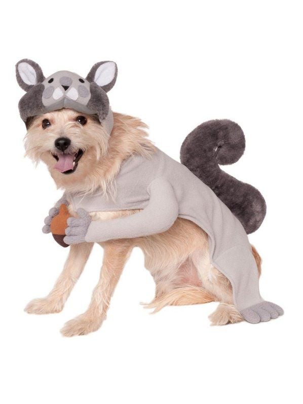 Squirrel Costume for Pet