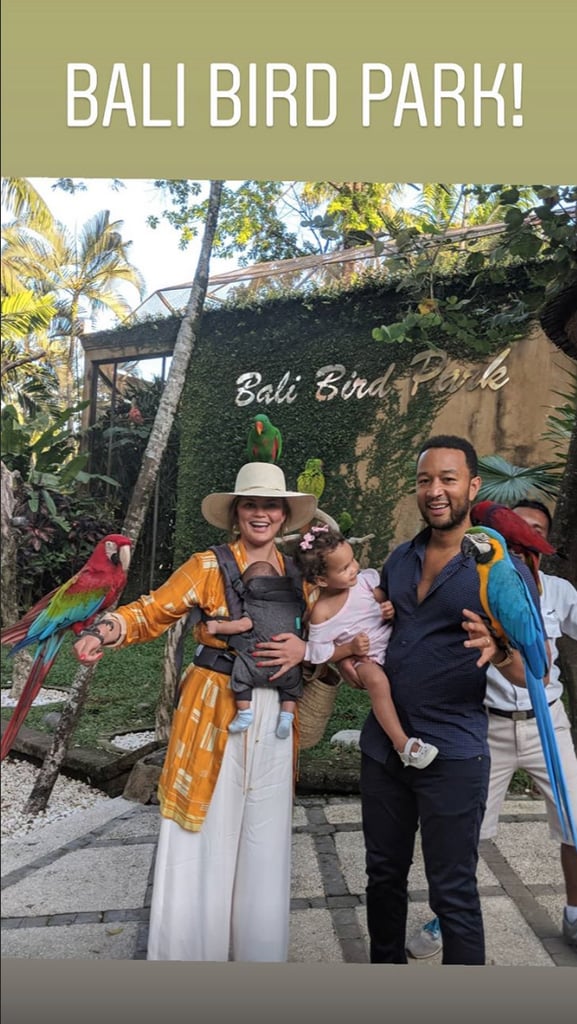 They Visited a Bird Park Together