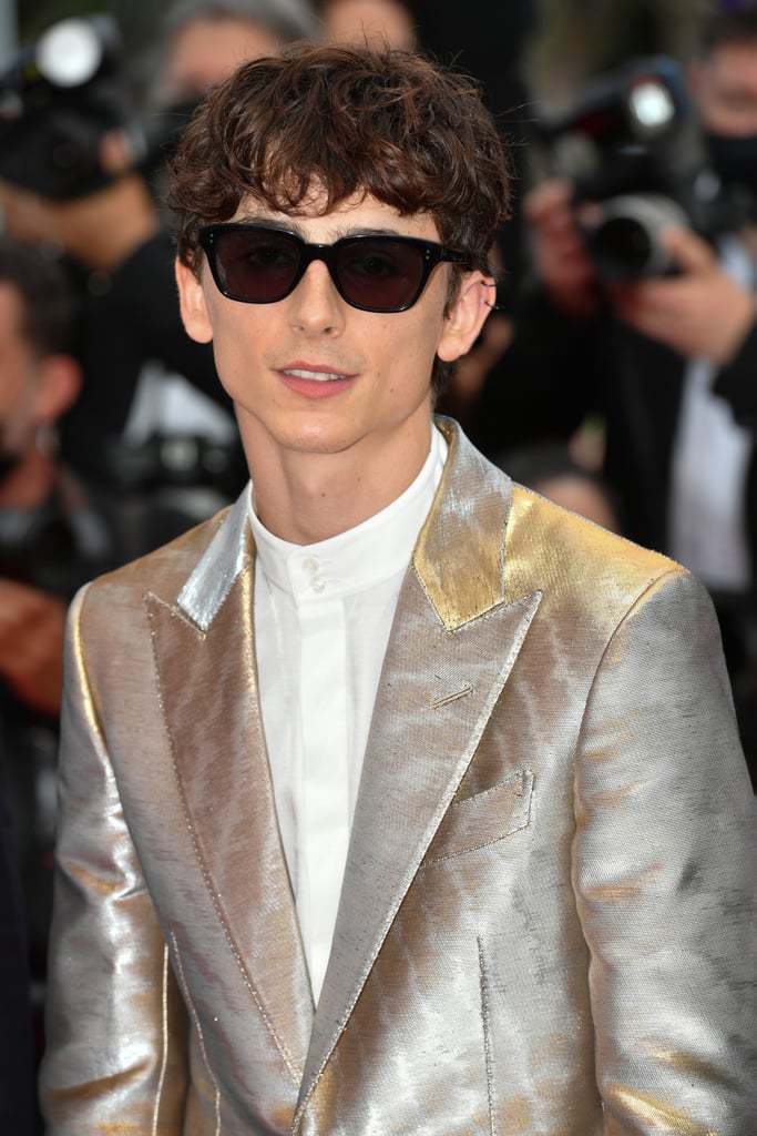 Timothée Chalamet Wears Silver Suit Outfit to Cannes: Photos