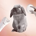 Animal Testing Is (Still) the Beauty Industry's Ugliest Secret