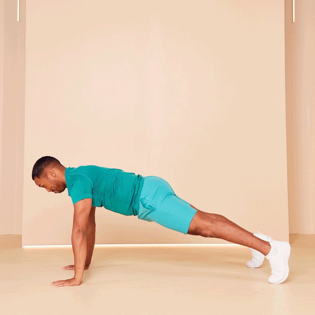 Plank Rotations
