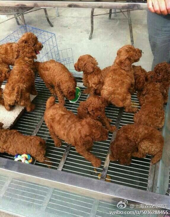 "Wait...that's not fried chicken."
Source: Reddit user muttleydosomething via Imgur