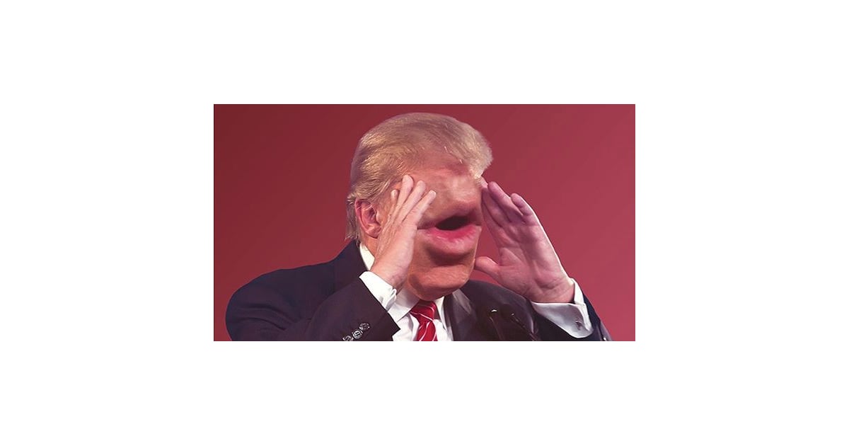 Donald Trump Quotes  POPSUGAR News