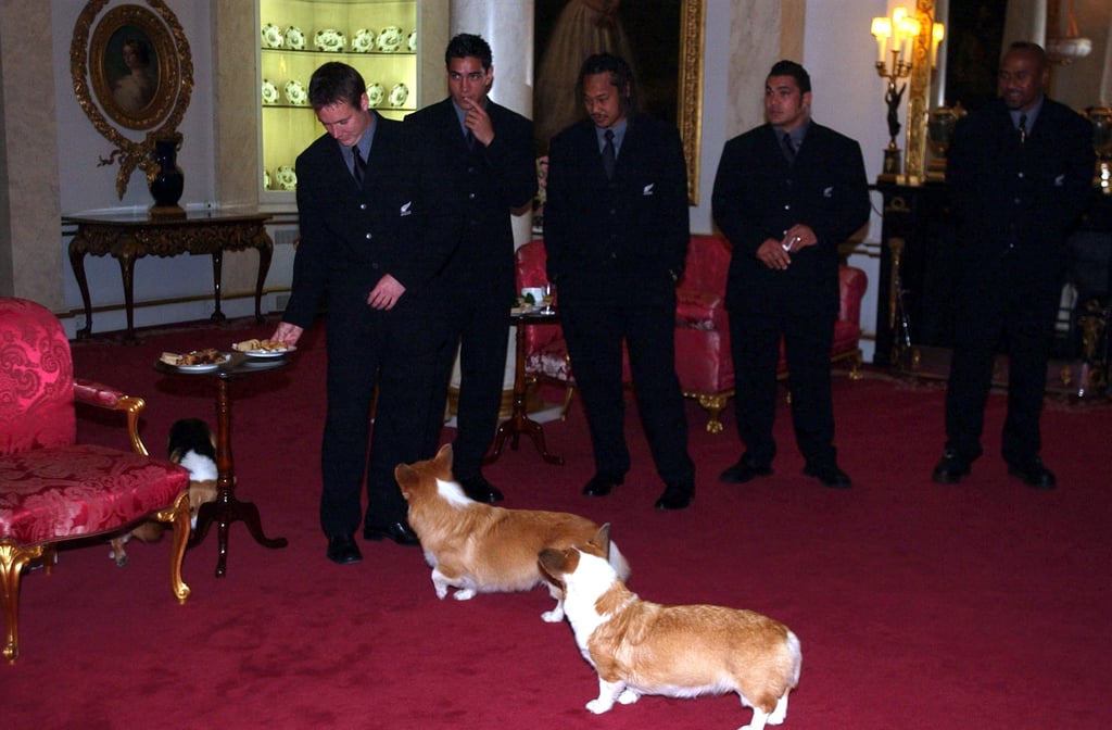 Around the Palace, 2002