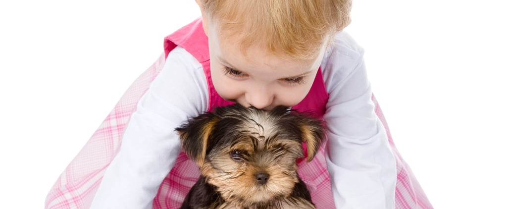 Why Dogs Make the Perfect Babysitters | Video
