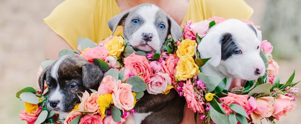 The Top Trends For Weddings in 2020