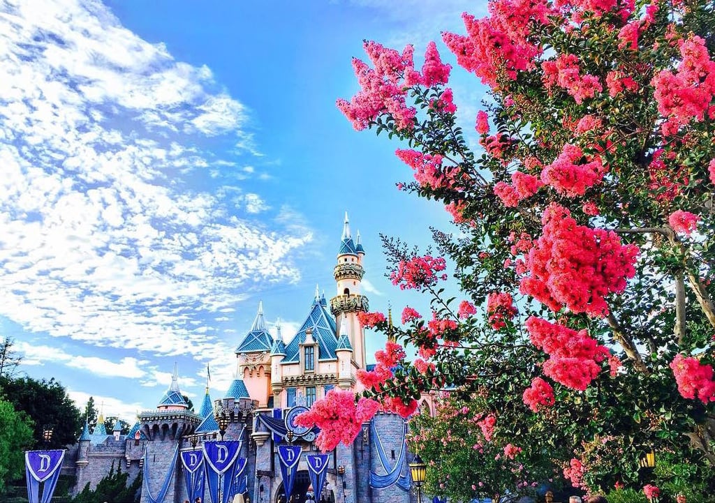 Signs You're Obsessed With Disneyland