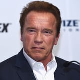 Ar**ld Schwarzenegger Terminated Online Troll