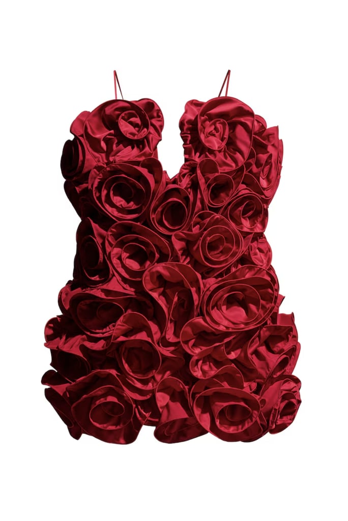 Magda Butrym X H&M Ruffled Satin Dress