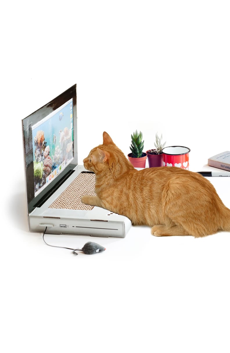 Suck UK Laptop Cat Scratching Pad