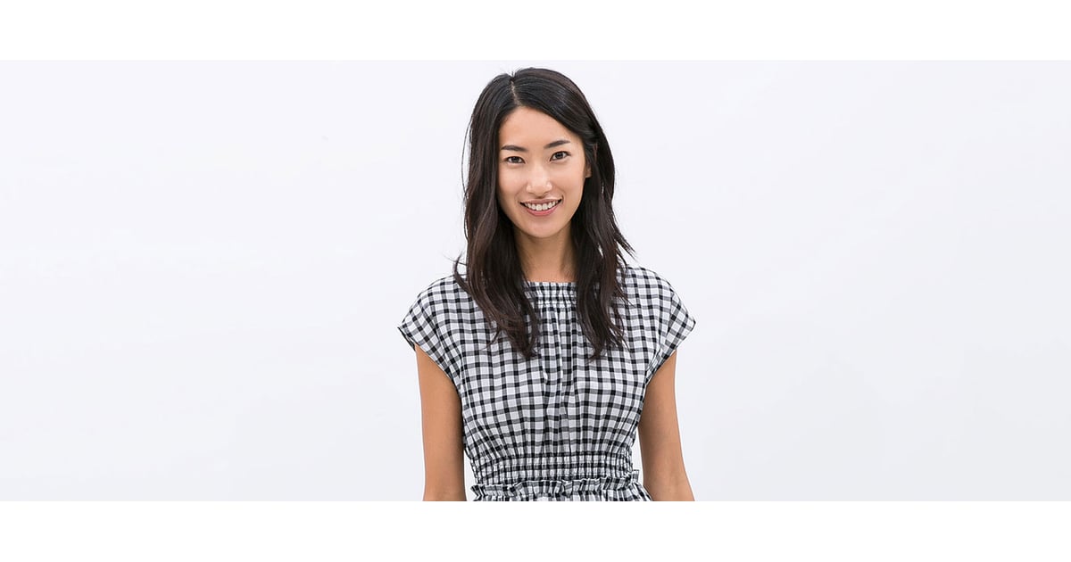 Zara Gingham Dress POPSUGAR Fashion