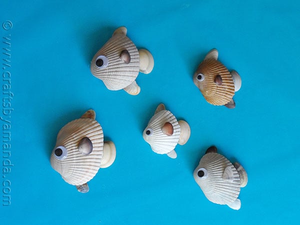 School of Fish