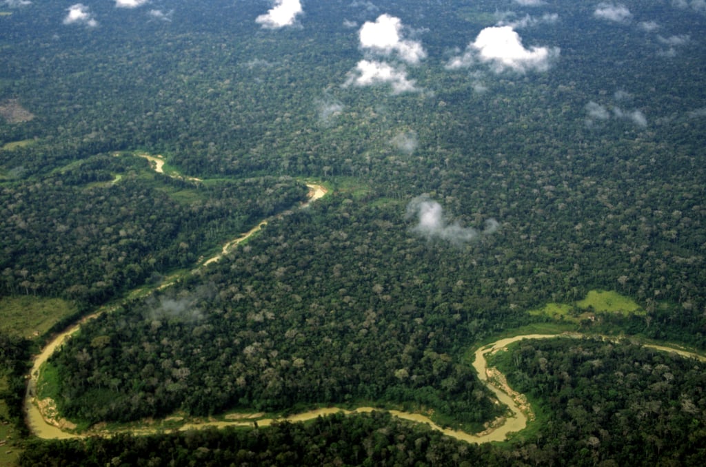 Photos of Amazon Rainforest