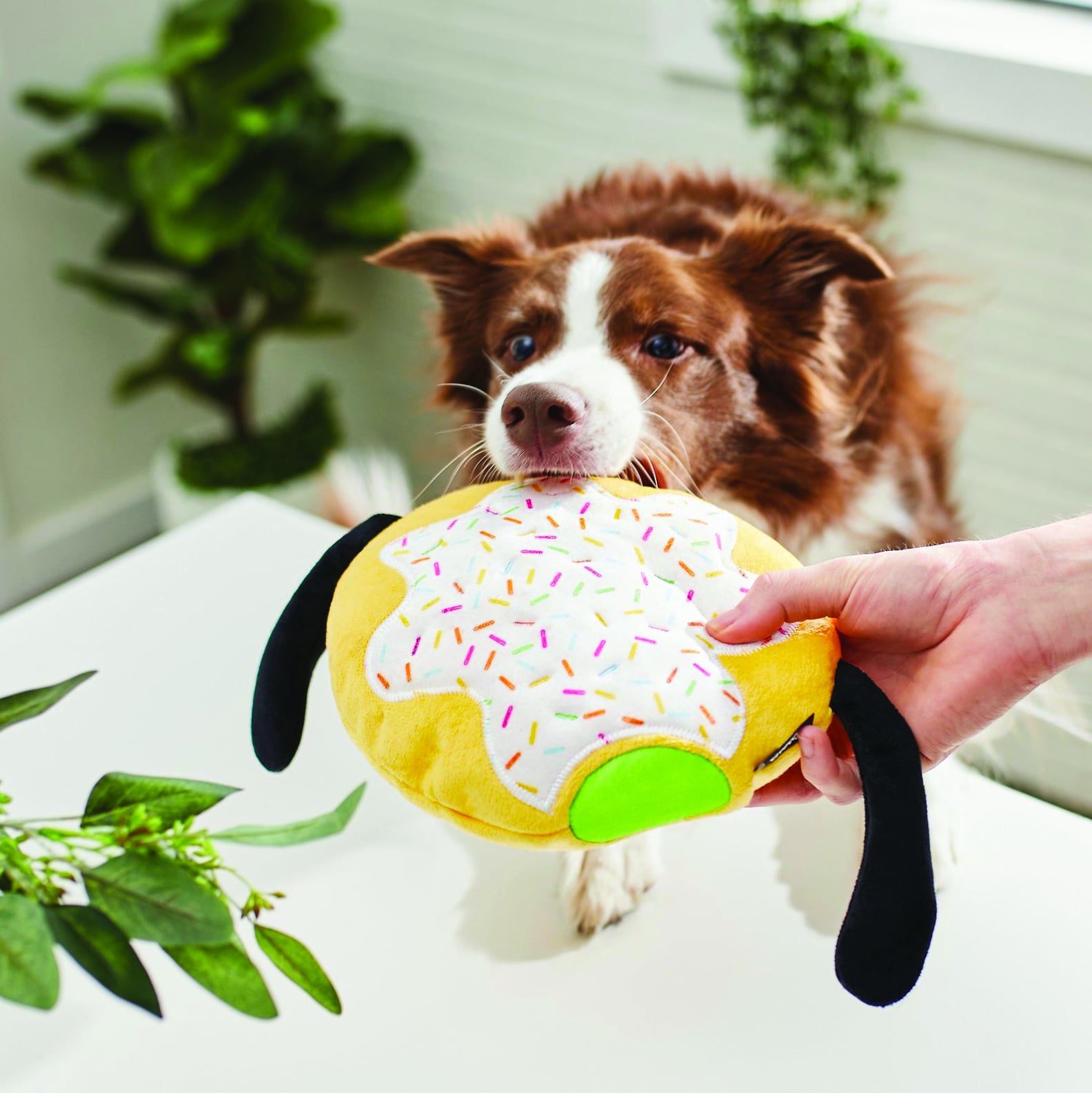 You Can Find the Best Disney Dog Toys at Chewy POPSUGAR Pets