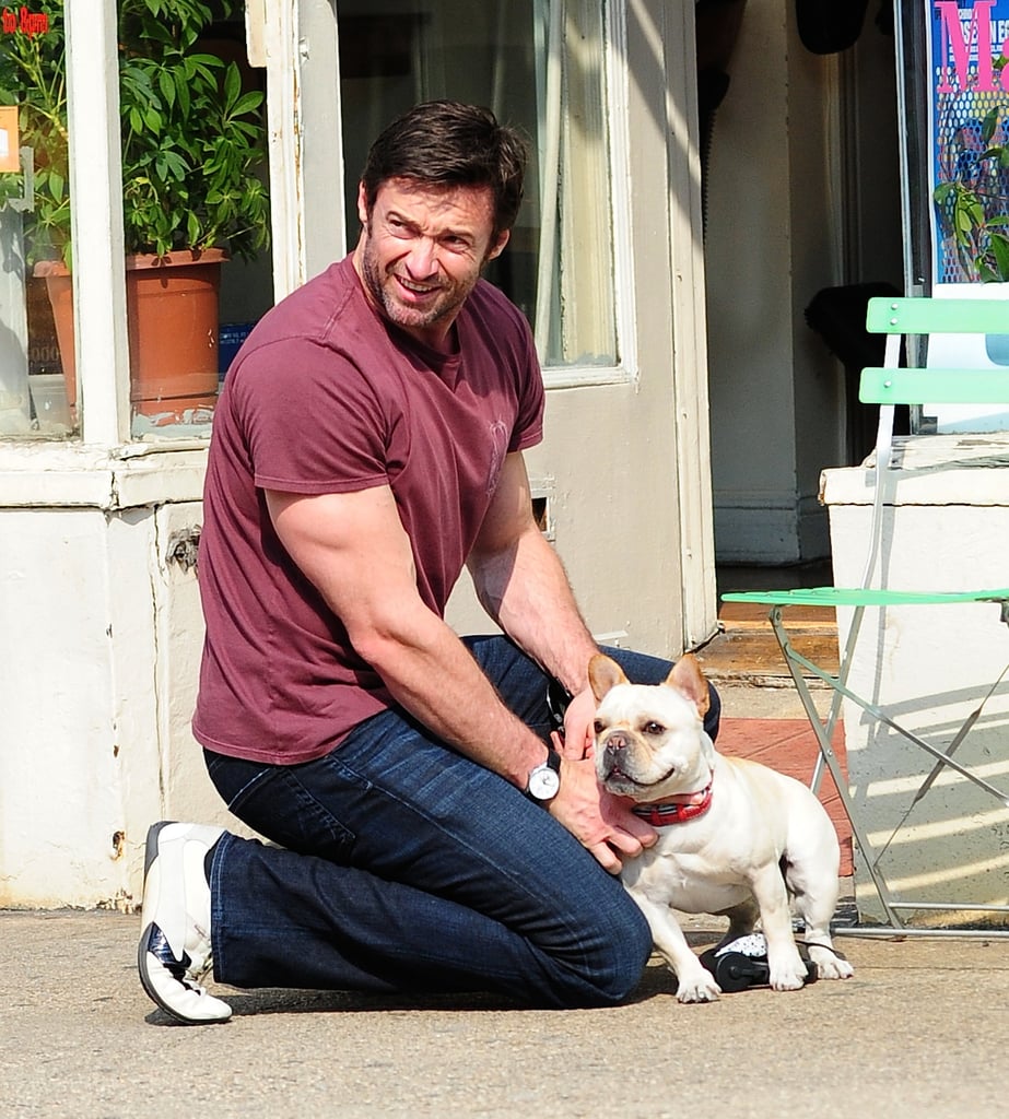 Hugh Jackman's Frenchie, Mochi, was by his side during an NYC walk in April 2013.