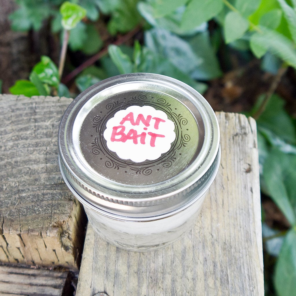 Ant Bait