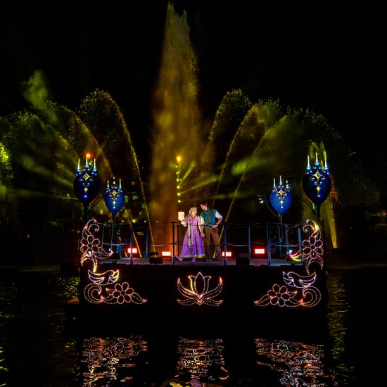 What Is Disneyland's Fantasmic Like?