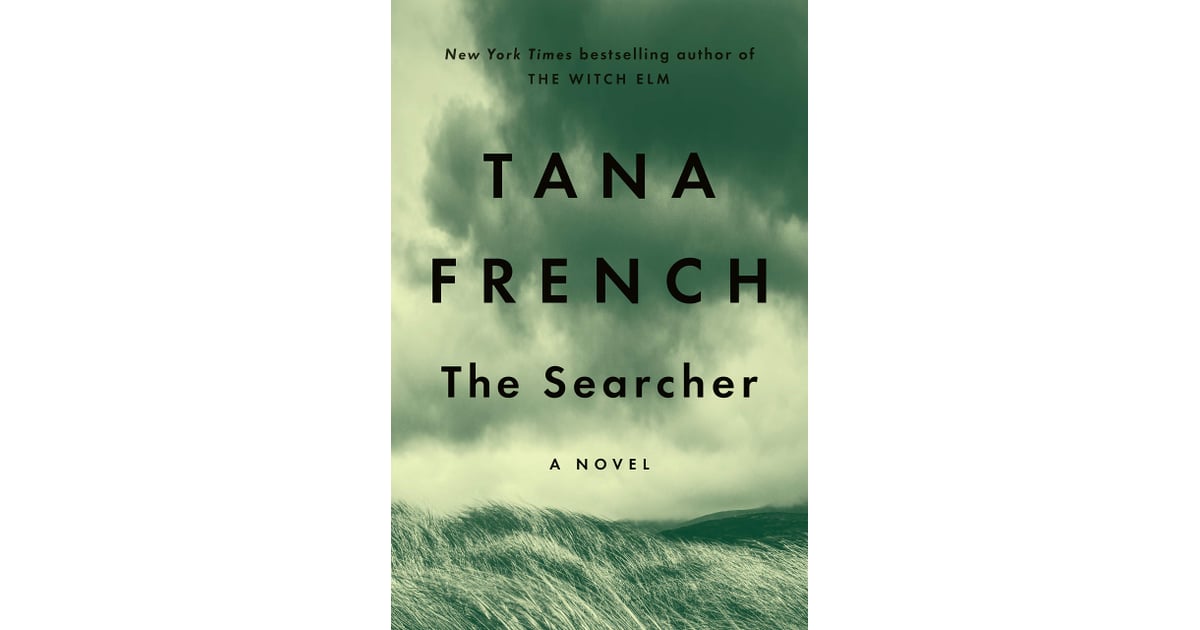 the searcher by tana french summary