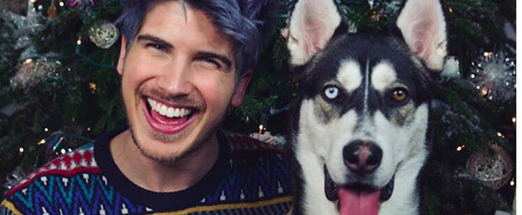 Joey Graceffa's Dog, Wolf