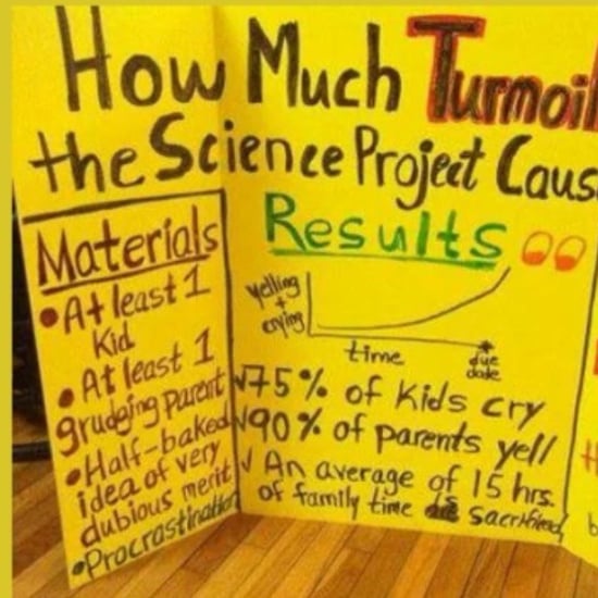 Science Fair Project Board Joke