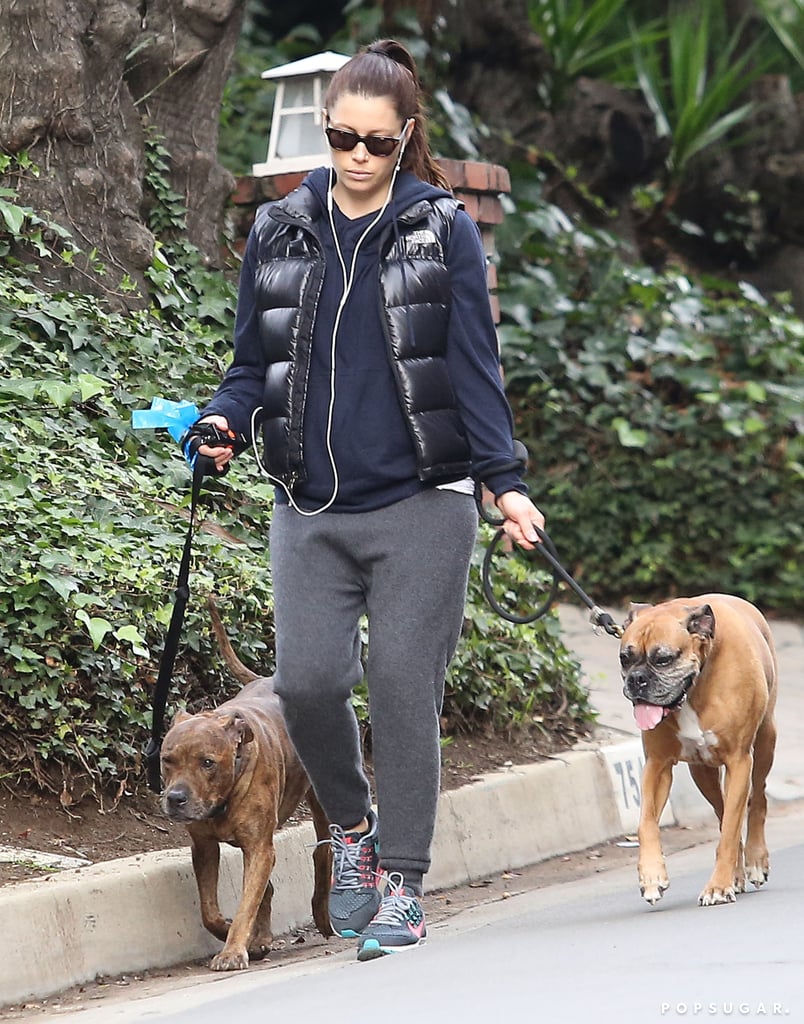 Jessica Biel's Baby Bump With Her Dogs | Photos