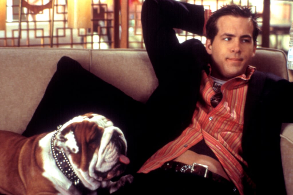 Van Wilder In Van Wilder Ryan Reynoldss Sexiest Movie Roles Popsugar Entertainment Photo 2 