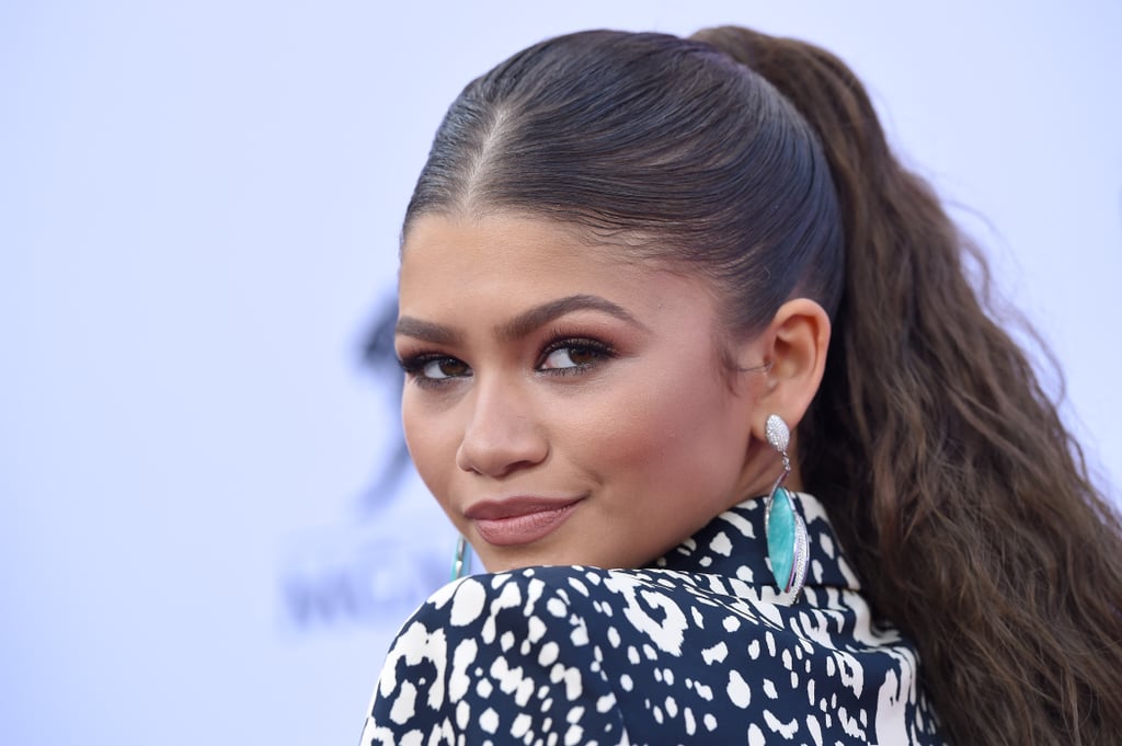 Zendaya's Comeback to a Mean Tweet on Twitter | POPSUGAR Celebrity