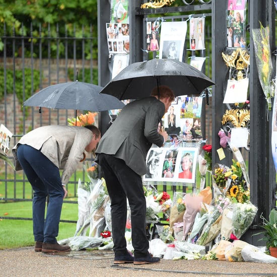 Prince William and Prince Harry Looking at Diana Tributes