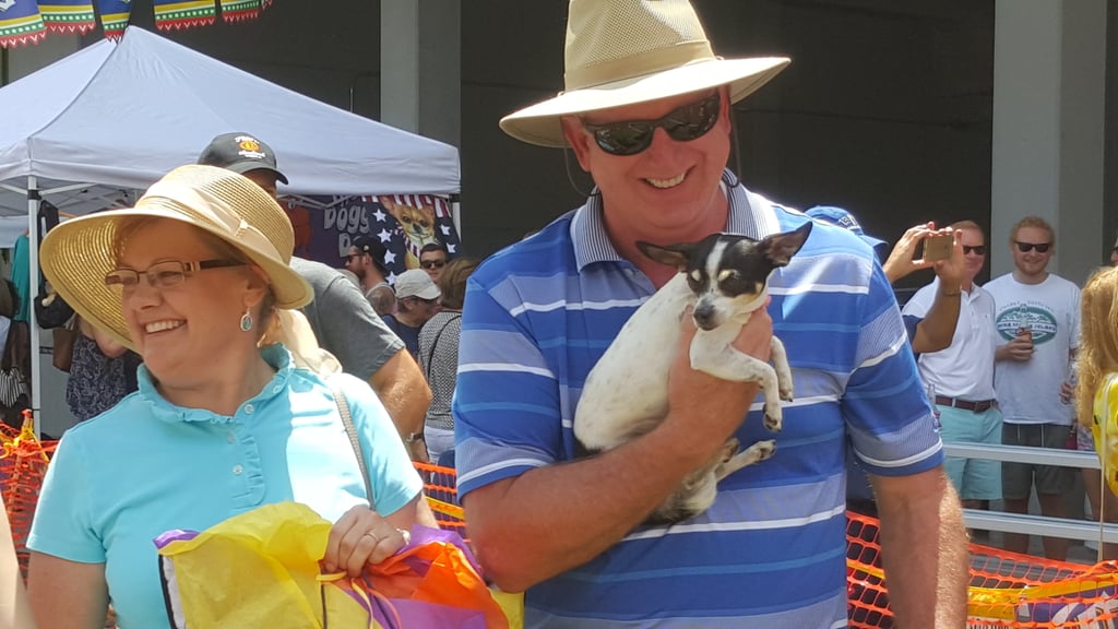 Running of the Chihuahuas in Winter Park, FL