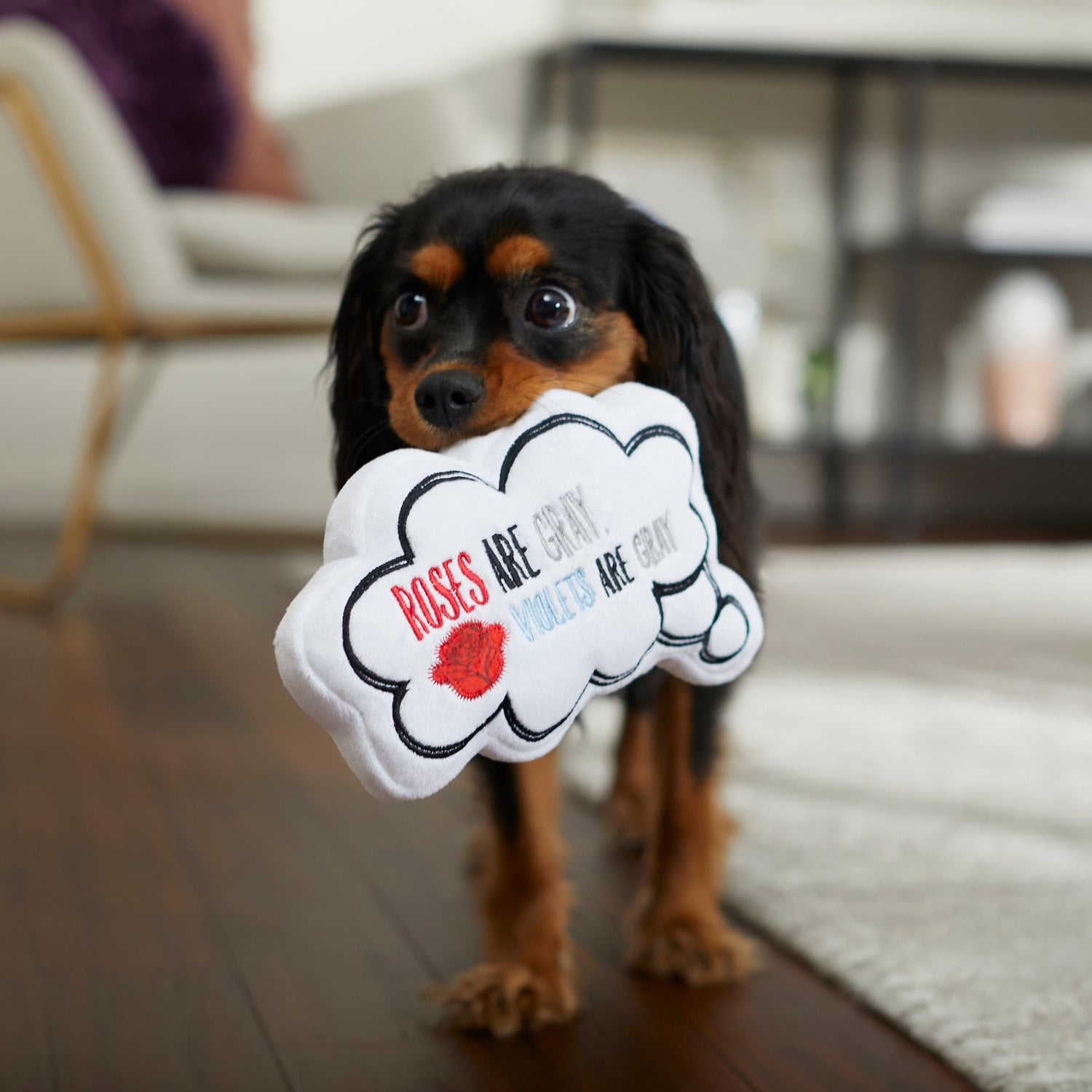 Frisco plush dog toys on sale