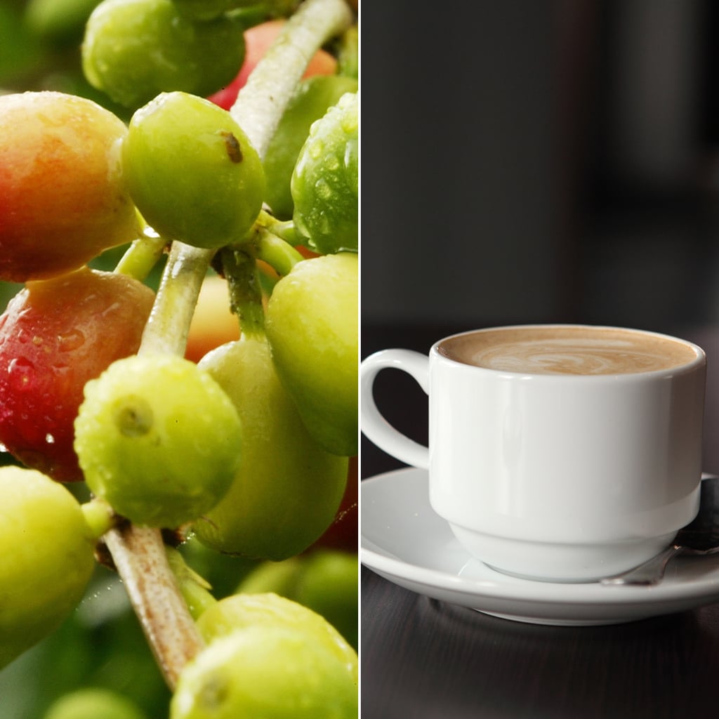 How Coffee is Made POPSUGAR Food