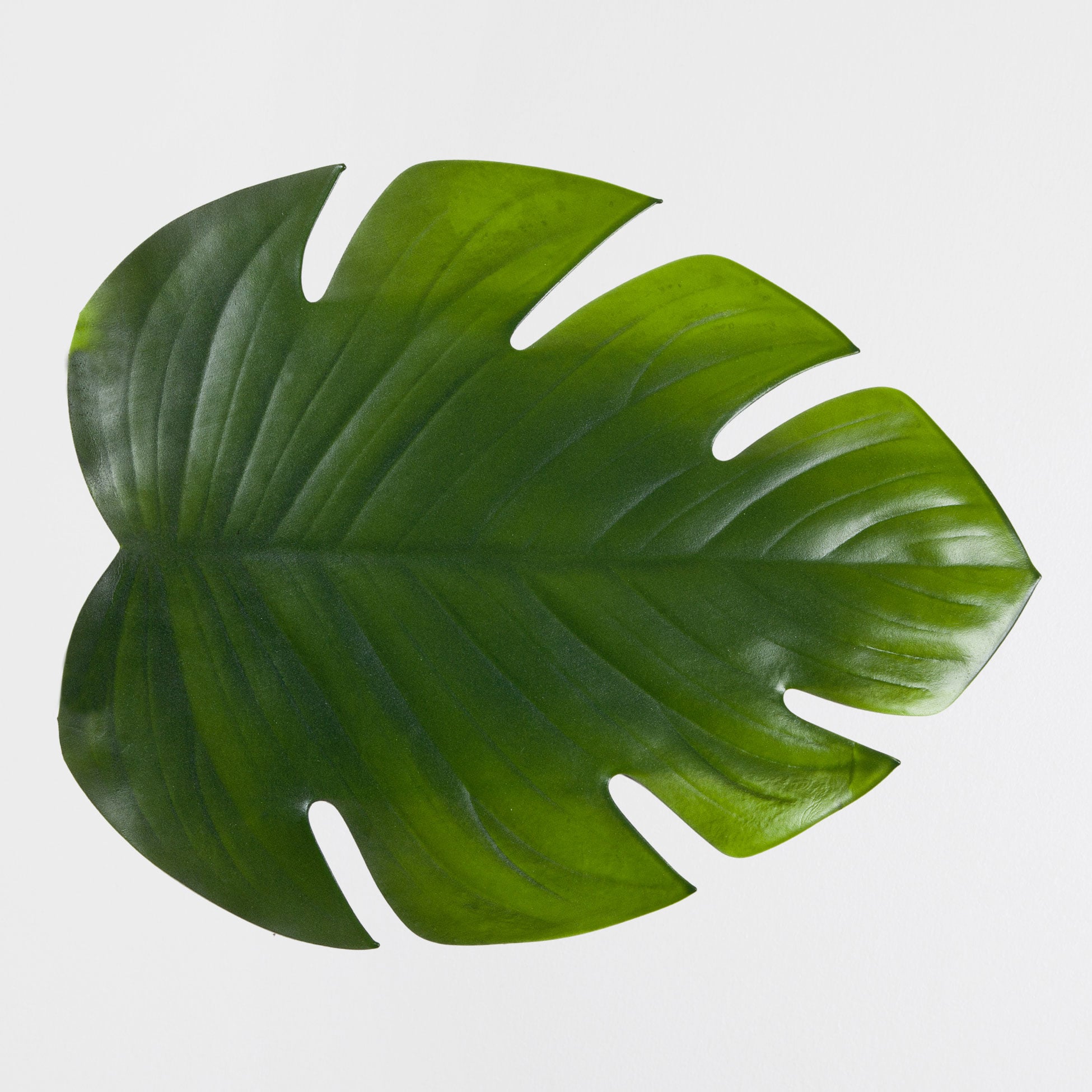 List 101+ Pictures High Resolution Free Printable Tropical Leaves Completed