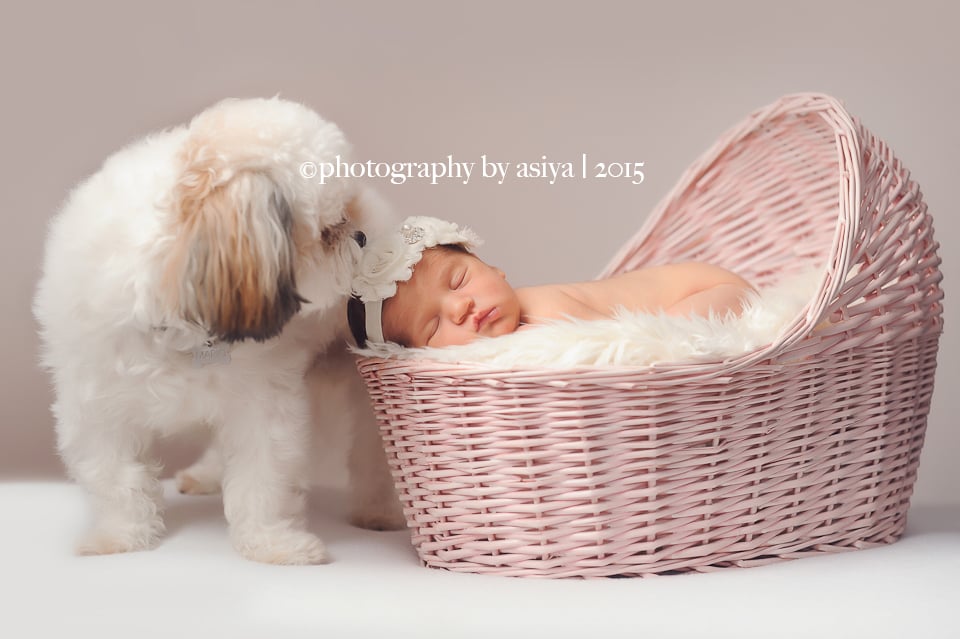 Adorable Newborn and Pet Photos POPSUGAR Family